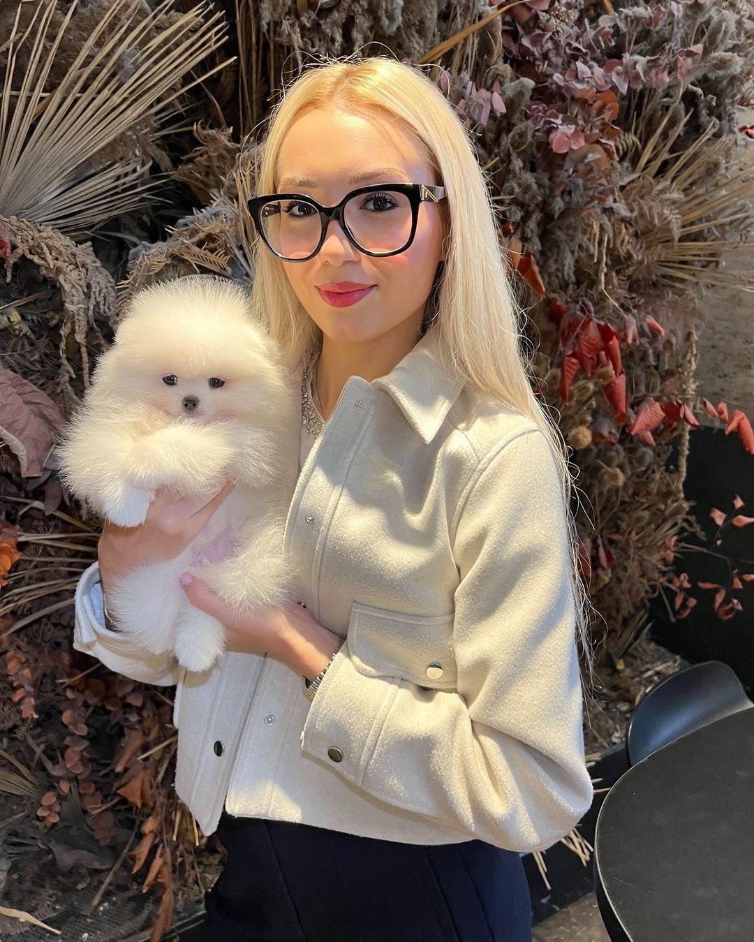 Pomeranian Breeders in Arizona