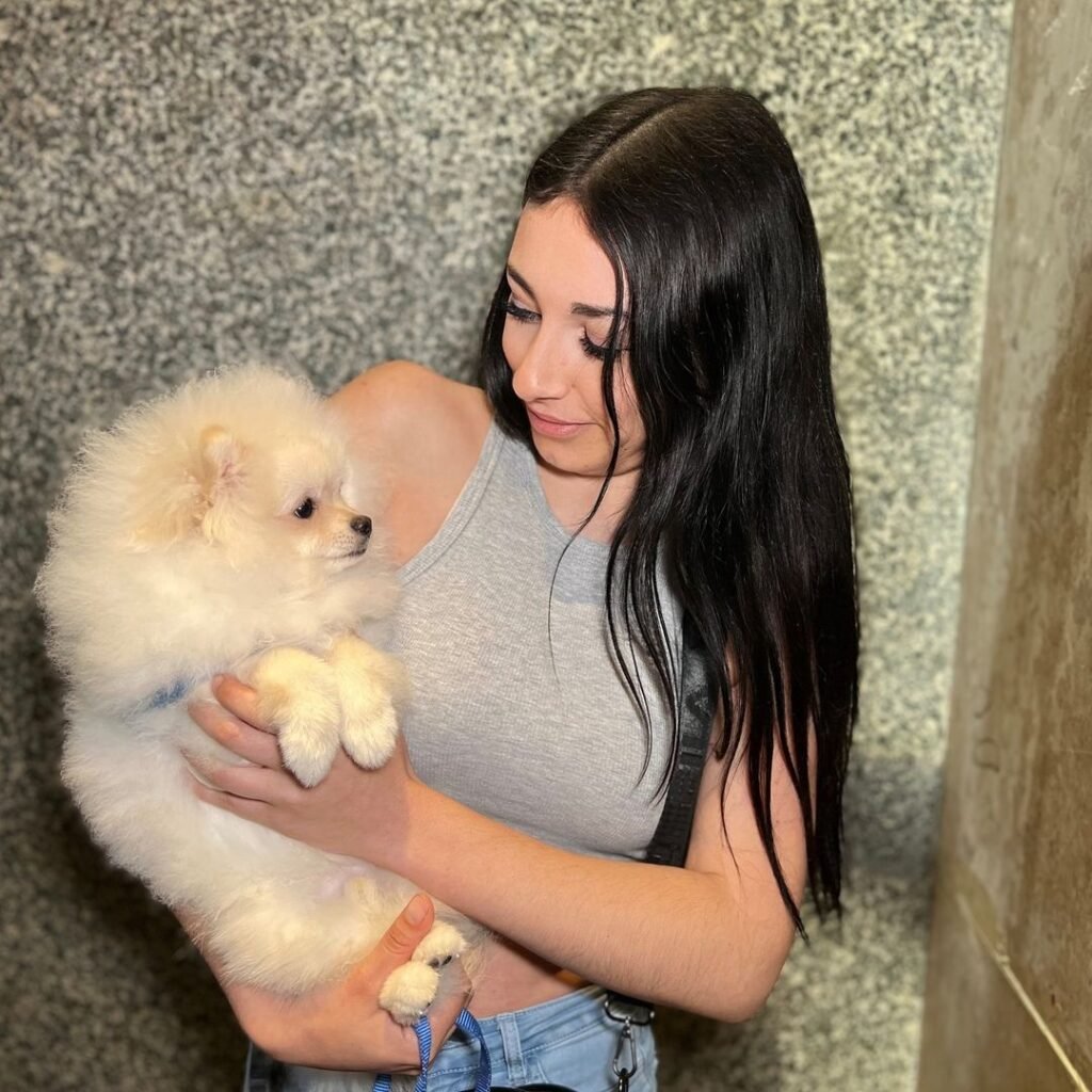 Pomeranian Puppies for Sale in Las Vegas NV