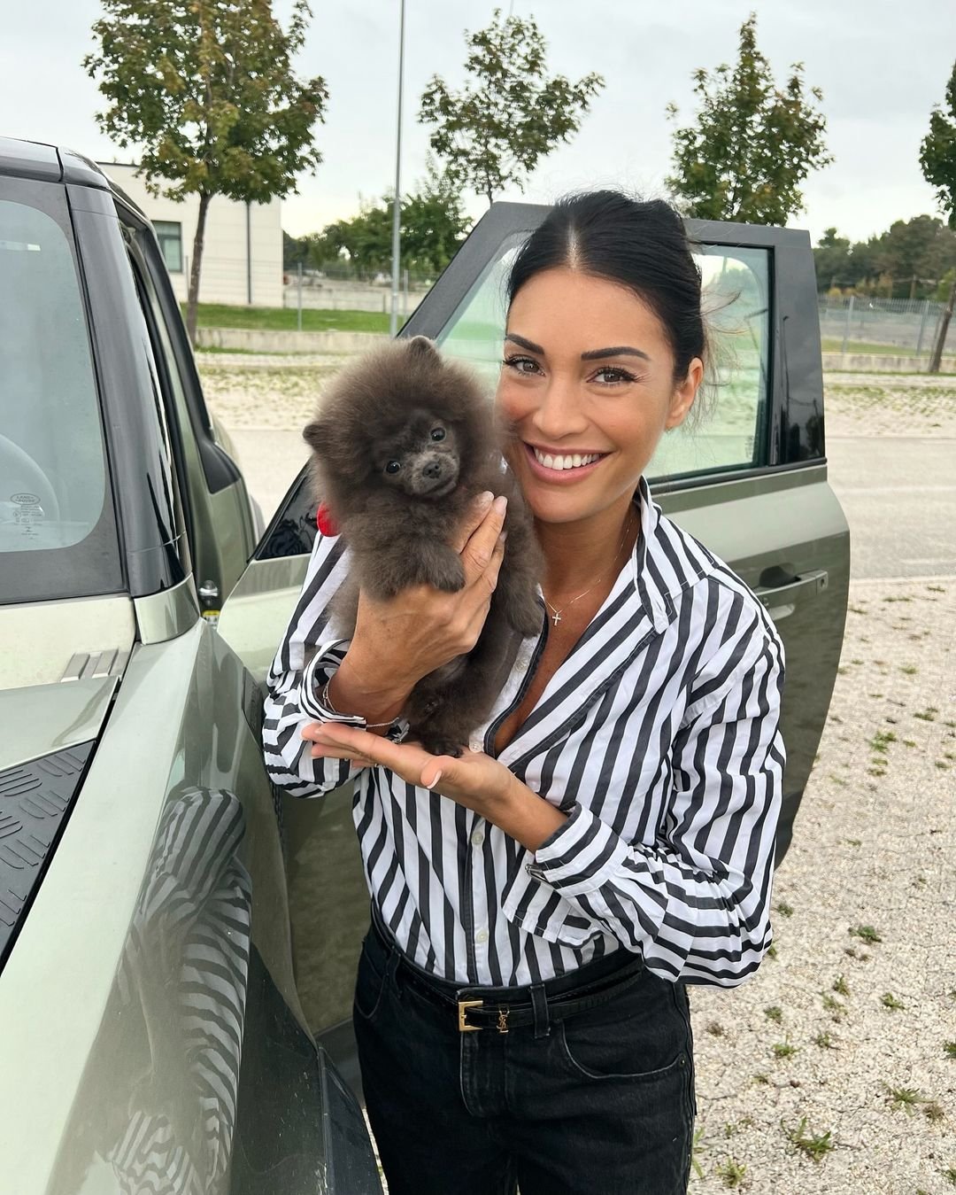 Teacup Pomeranian Puppies for Sale in Washington