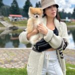 What should I consider when looking for Miniature Pomeranian breeders in Texas?