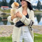 What should I consider when looking for Teacup Pomeranian breeders in Massachusetts?