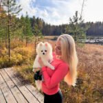 What should I consider when looking for Miniature Pomeranian breeders in Virginia?