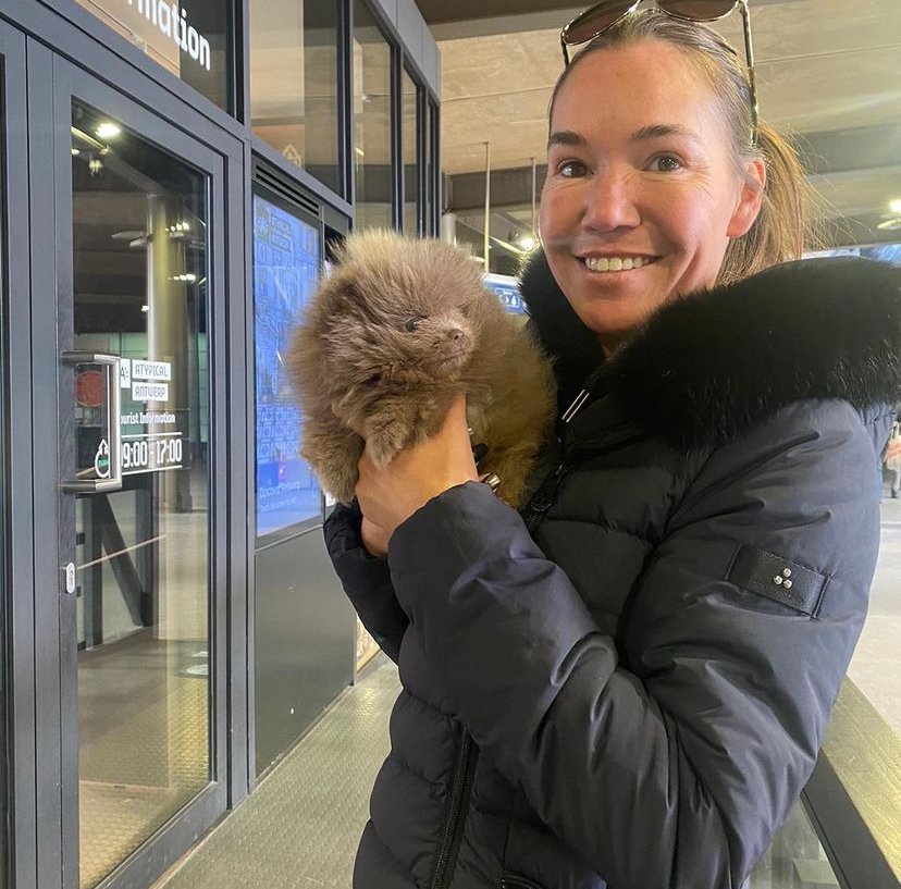 Miniature Pomeranian Breeders in Alaska