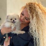 Where can I find Teacup Pomeranian puppies for sale in South Carolina