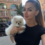 What should I look for when choosing a reliable Pomeranian breeder in Utah?