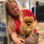 How much do Teacup Pomeranians cost in Florida