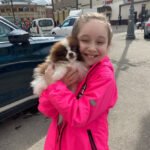 What should I consider when looking for Miniature Pomeranian breeders in South Dakota?