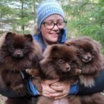 How can I choose the best Teacup Pomeranian breeder in West Virginia