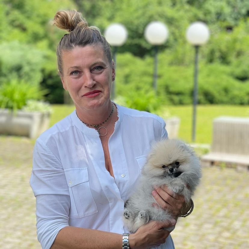 Pomeranian Puppies for Sale in Wyoming